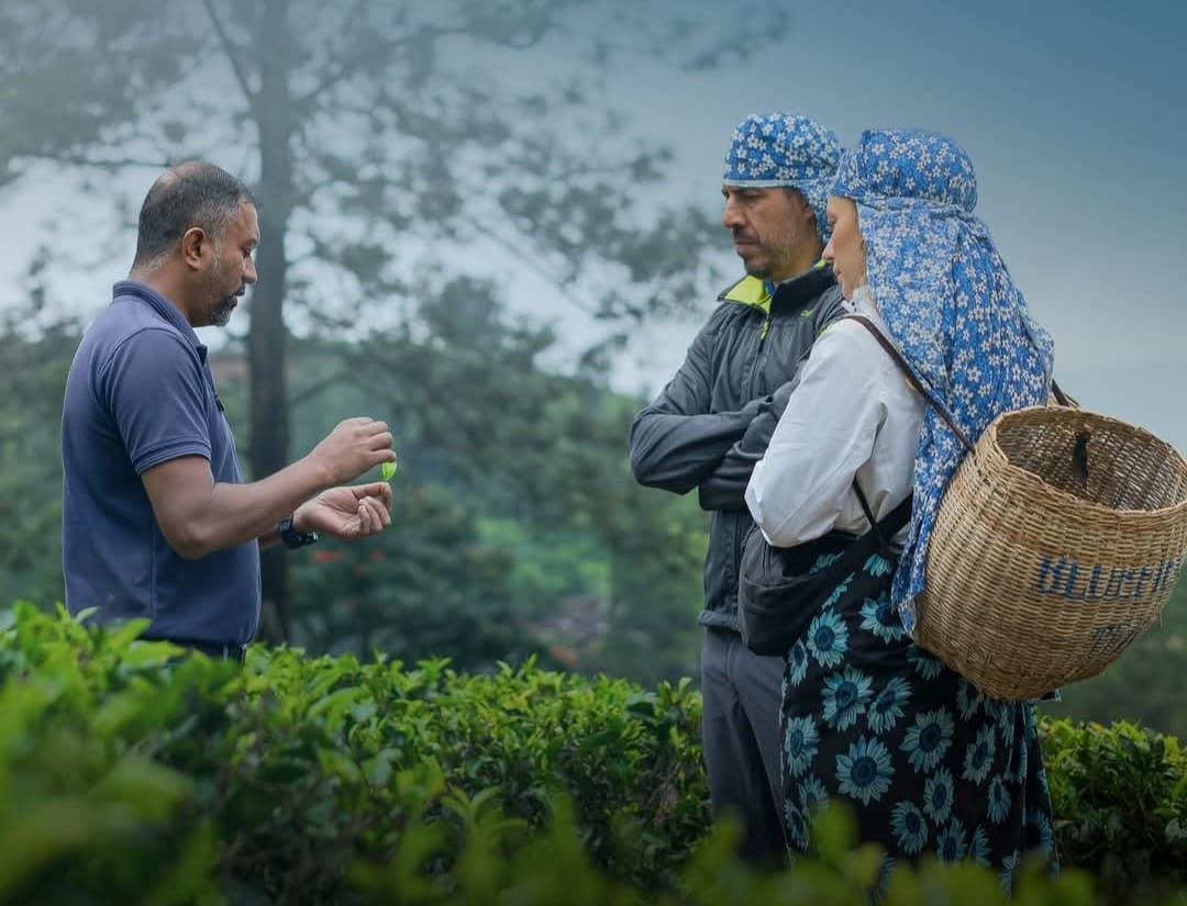 Nuwara Eliya tuk tuk tour — moment 1 from a guest's private hill country day trip