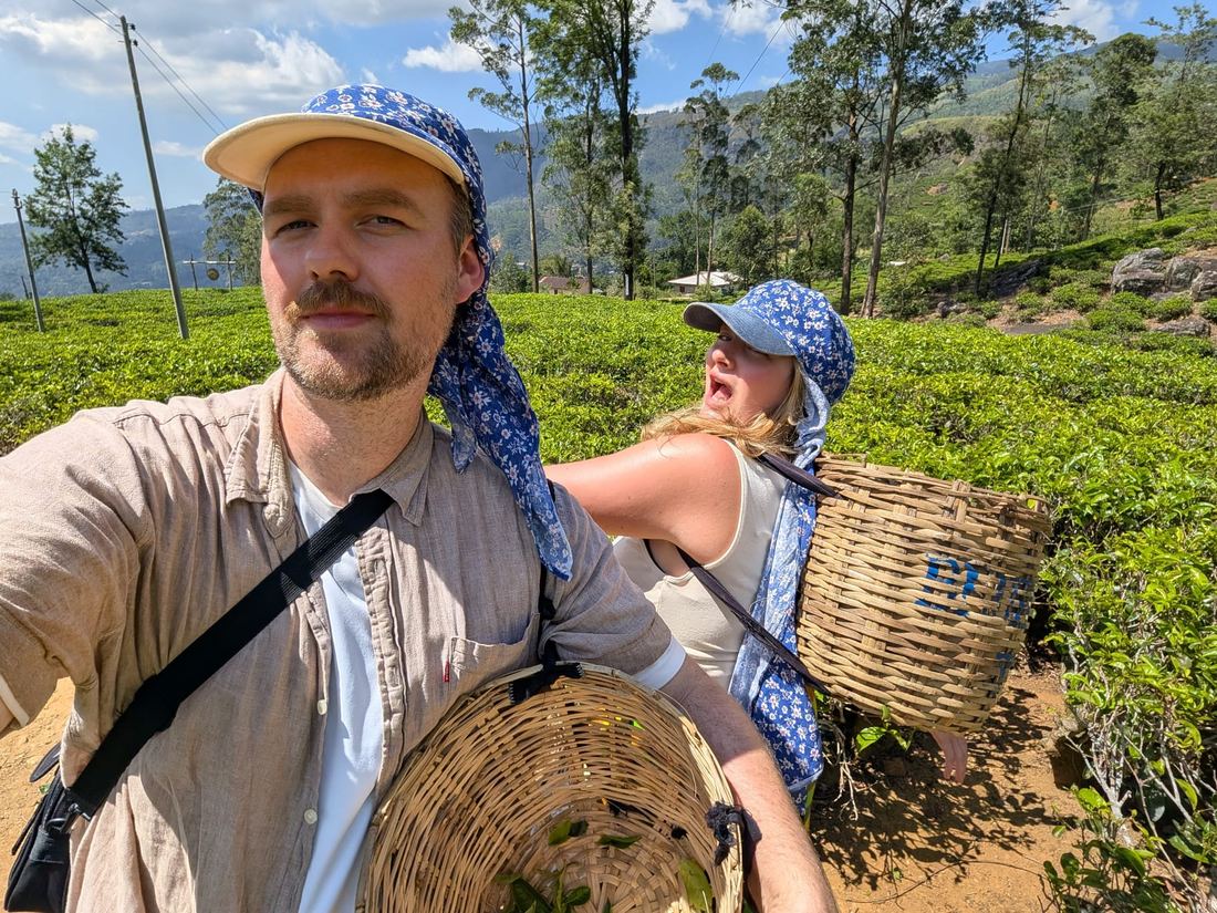 Nuwara Eliya tuk tuk tour — moment 10 from a guest's private hill country day trip