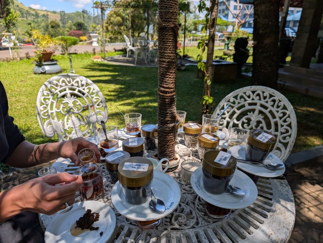 Nuwara Eliya tuk tuk tour — moment 4 from a guest's private hill country day trip