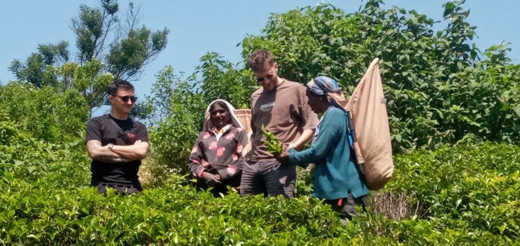 Nuwara Eliya tuk tuk tour — moment 5 from a guest's private hill country day trip